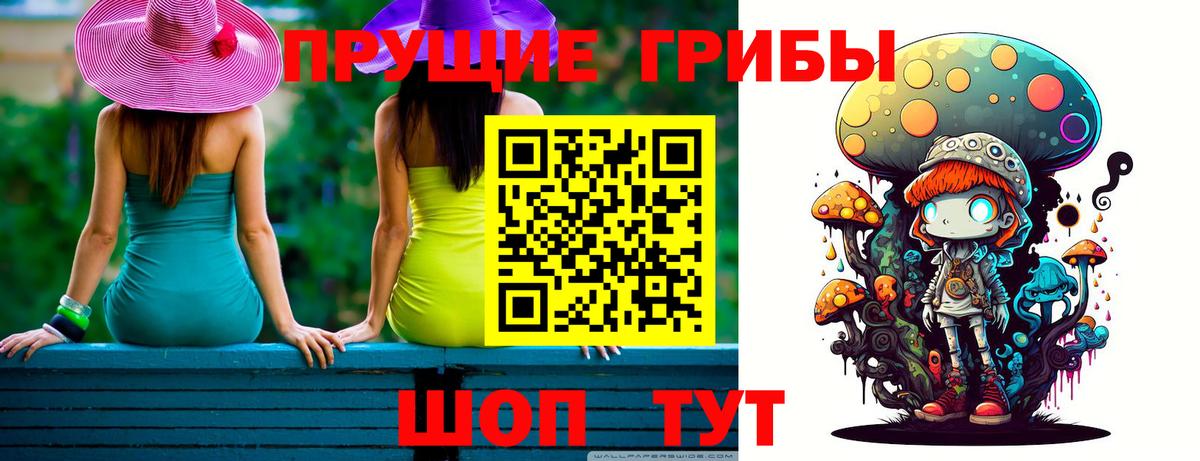 Кизляр  закладки  Вход с VPN  Псилоцибиновые грибы Psilocybe 