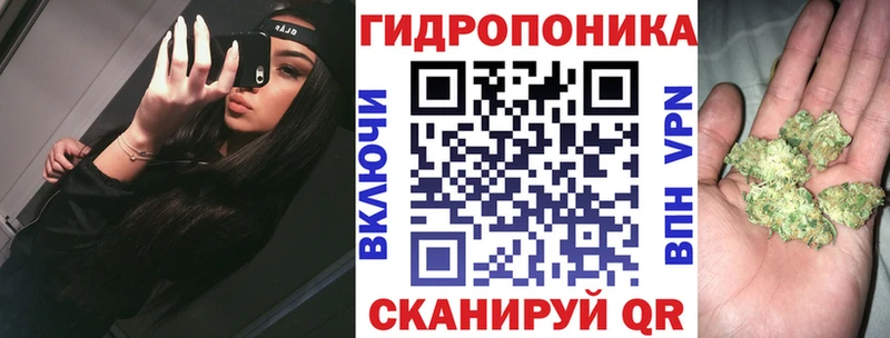 MEGA маркетплейс  Кизляр  Шишки марихуана SATIVA & INDICA 
