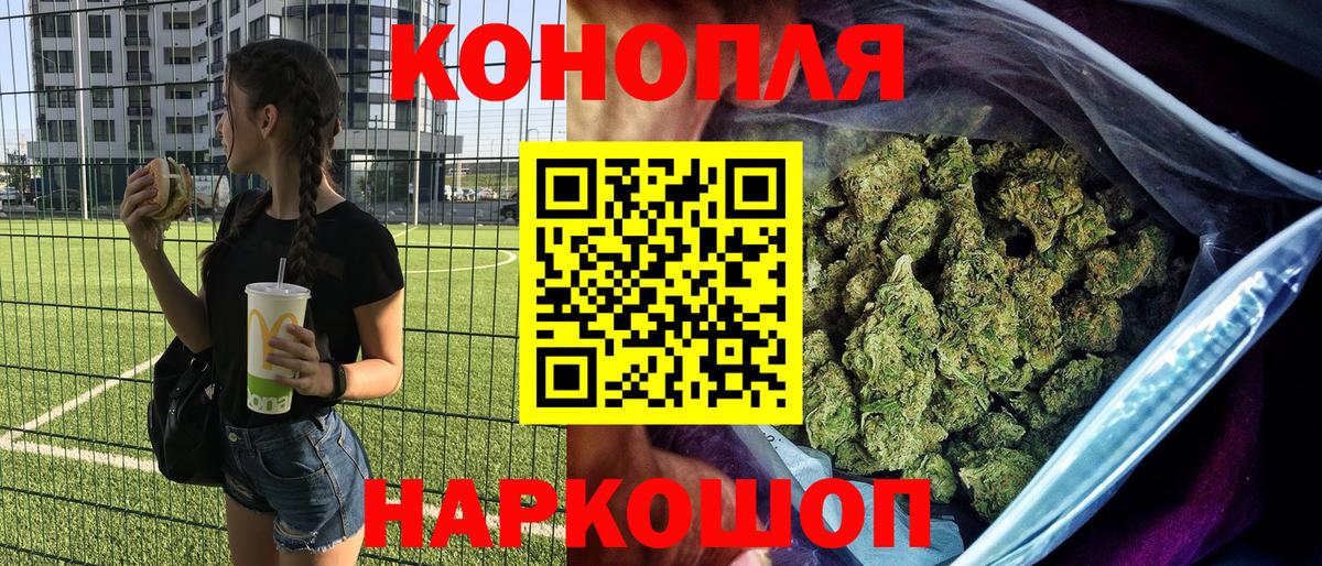 Бошки Шишки семена Кизляр